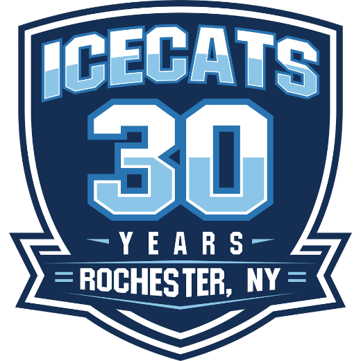 30yr Icecat website logo